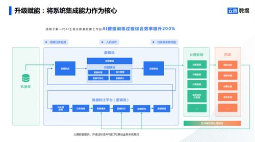 去伪存真 AI数据服务如何打通智能驾驶全场景落地数据闭环